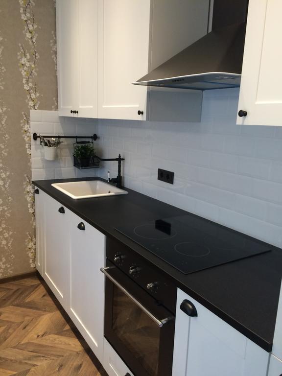 Luxury Apartment Druskininkai Dış mekan fotoğraf